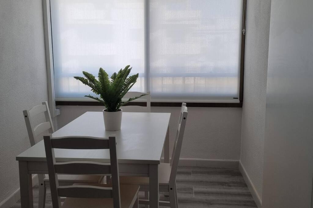 Coqueto Apartamento En La Playa ダイムス エクステリア 写真