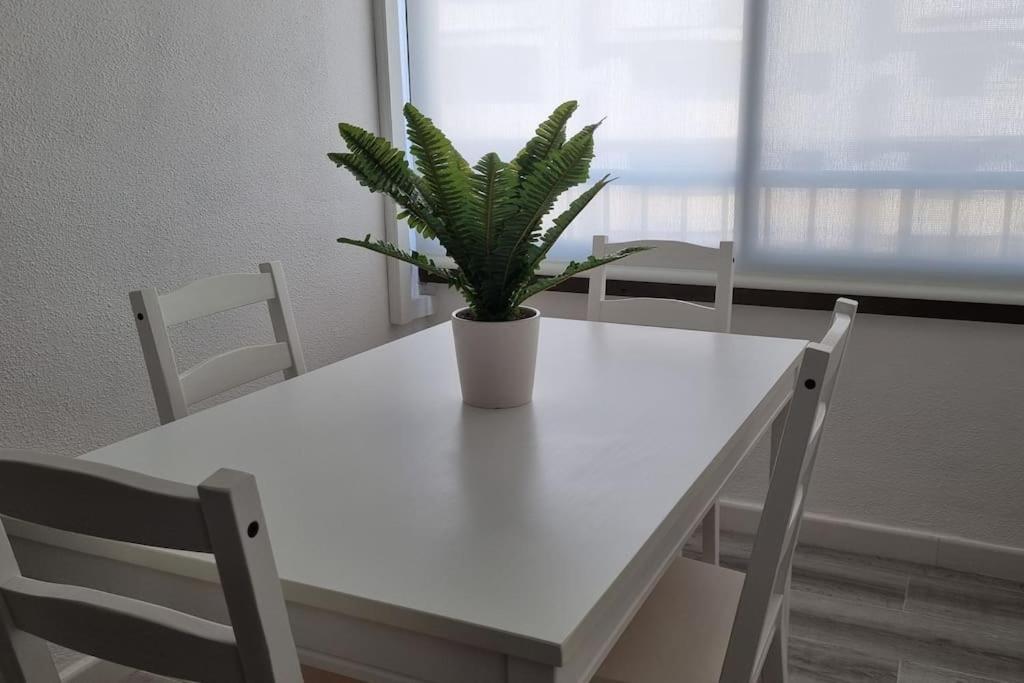 Coqueto Apartamento En La Playa ダイムス エクステリア 写真